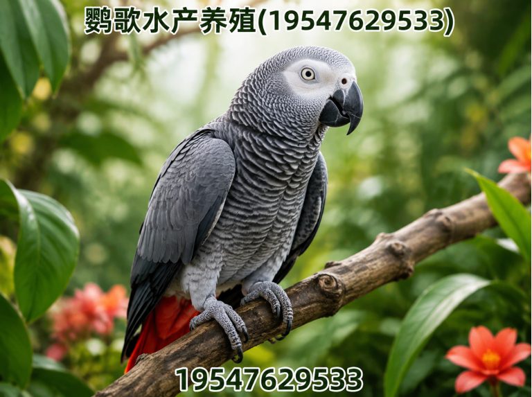 温江区鹦歌水产养殖展示图